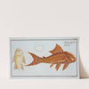 Loricaria plecostomus, The Guacari. (1785-1797) by Marcus Elieser Bloch