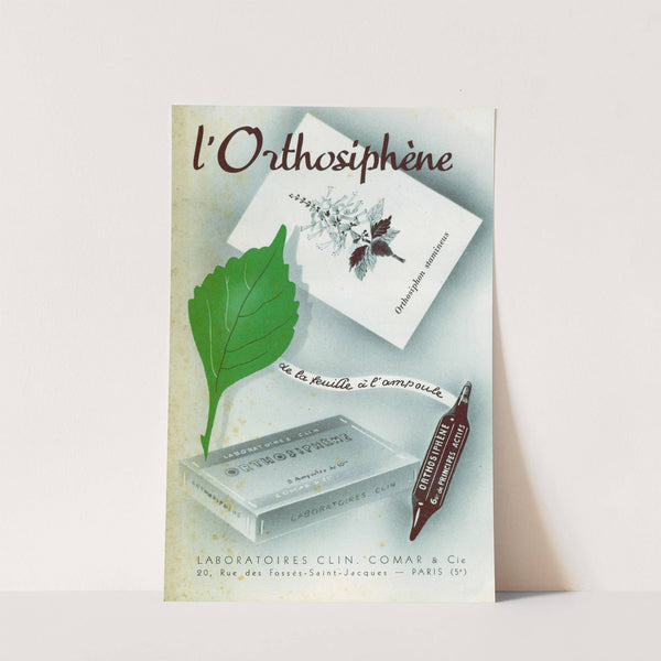 L&#8217;Orthosiphène (1910-1950) by Laboratoires Clin, Comar &amp; Cie