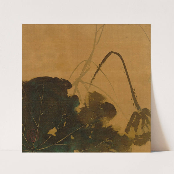 Lotus (1847) by Shibata Zeshin