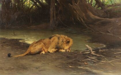 Löwe an der Tränke (Ca. 1907-1911)