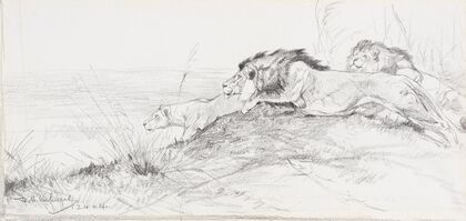 Löwen auf der Lauer (1900)