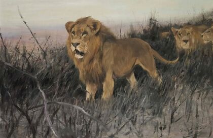 Löwen In Verbrannter Steppe (Lions In A Burnt Steppe)