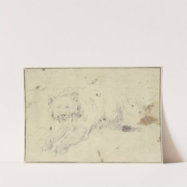 Lying bear to the left by Johann Melchior Roos