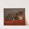 Lying Cat, Mosse by Maria Wiik