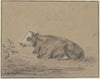 Lying cow to the left