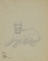 Lying dog