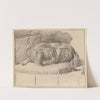 Lying Dog by Cornelis Ploos van Amstel