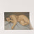 Lying female nude by Mikuláš Galanda