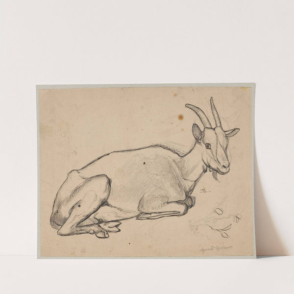 Lying Goat (1891) by Hans Thoma