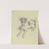 Lying terrier by Jacob Happ