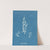 Lyngbya Carmichaelii (1843-1853) by Anna Atkins
