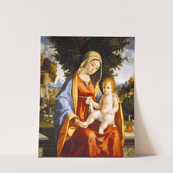 Madonna and Child in Landscape by Andrea Previtali