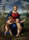 Madonna Del Cardellino