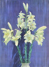 Madonna Lily