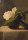 Magnolia (1860)