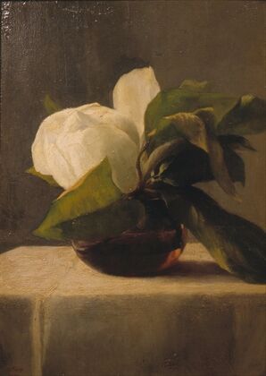 Magnolia (1860)
