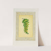 Maiden Hair Fern (1869) by John Henry Ingram