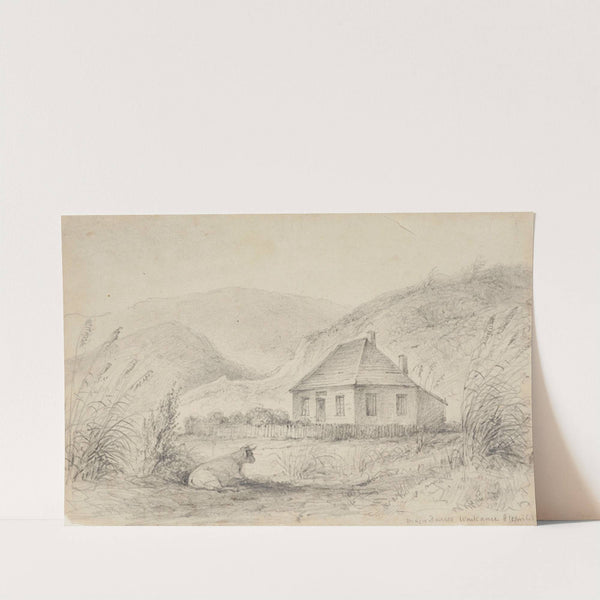 Major Durie&#039;s, Waikanae by William Swainson