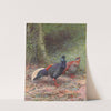 Malayan Crested Fireback by George Edward Lodge