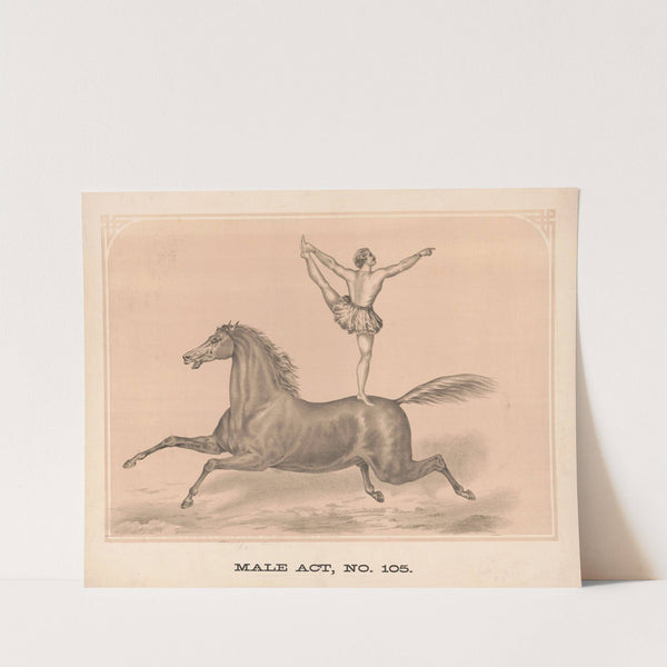 Male act, no. 105 (1872) by Gibson &amp; Co. Lith