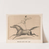 Male act, no. 106 (1872) by Gibson &amp; Co. Lith
