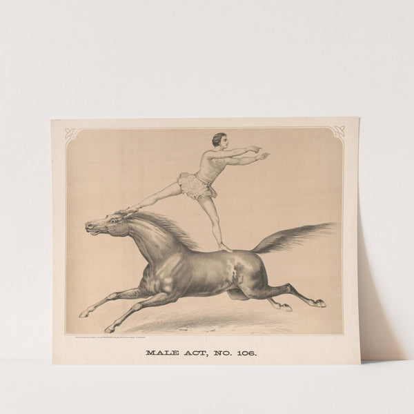 Male act, no. 106 (1872) by Gibson &amp; Co. Lith