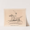 Male act, no. 107 (1872) by Gibson &amp; Co. Lith