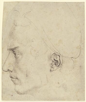 Male head in profile