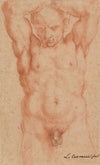 Male Nude