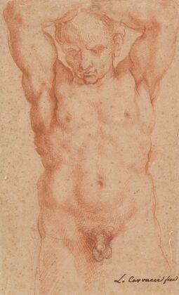 Male Nude