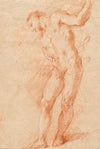 Male Nude