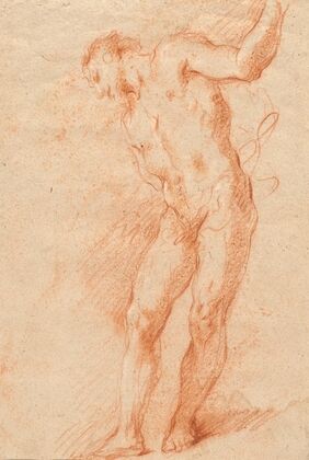 Male Nude