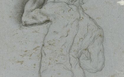 Male nude from behind