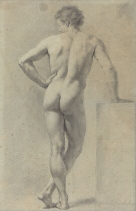 Male Nude Study