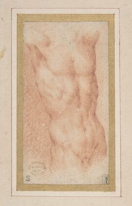 Male Nude Torso with Raised Arms
