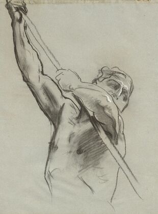 Male Torso with Pole