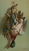 Mallards, jay & woodcock (1902)
