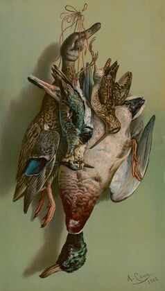 Mallards, jay & woodcock (1902)
