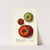 Malus domestica by Ellen Isham Schutt
