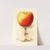 Malus domestica: Banana by Deborah Griscom Passmore