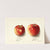 Malus domestica: Jonathan by Ellen Isham Schutt