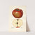 Malus domestica: Lord Stradbroke (1920) by Mary Daisy Arnold