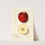 Malus domestica: Spitz Esopus by Ellen Isham Schutt