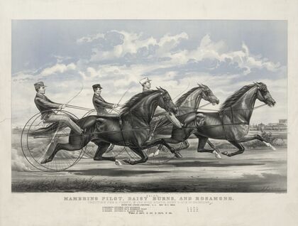 Mambrino Pilot, Daisy Burns, and Rosamond; trotting for a purse, $100 mile heats, best 3 in 5 in harness (1866)