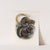 Mammalia Pl 10 by Frederick DuCane Godman