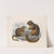 Mammalia Pl 11 by Frederick DuCane Godman