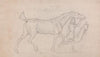 Man Leading a Trotting Stallion to Right