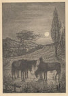 Man met drie paarden in een landschap