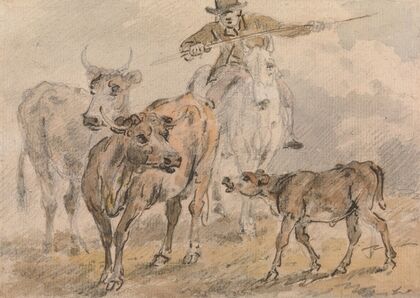 Man on a horse hearding two cows and a calf