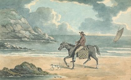 Man Riding a Horse on the Beach